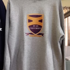 Grey Hoodie (Colour Logo)